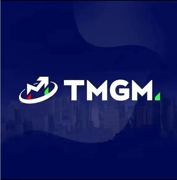 如何通过TMGM Markets官网把握国际黄金行情走势？